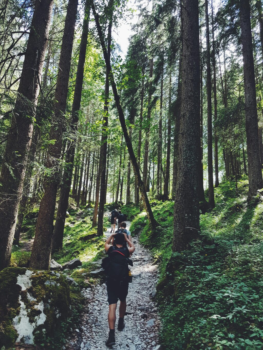 Taking a Slowcation.