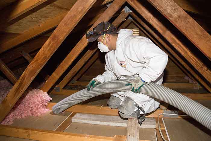 Insulation Removal in FT Myers
